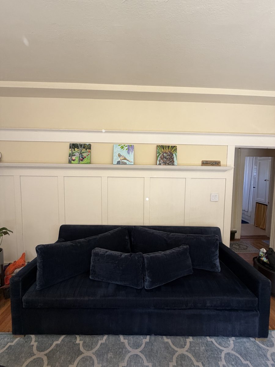 After: navy velvet sofa deep cleaned with a uniform, rich color