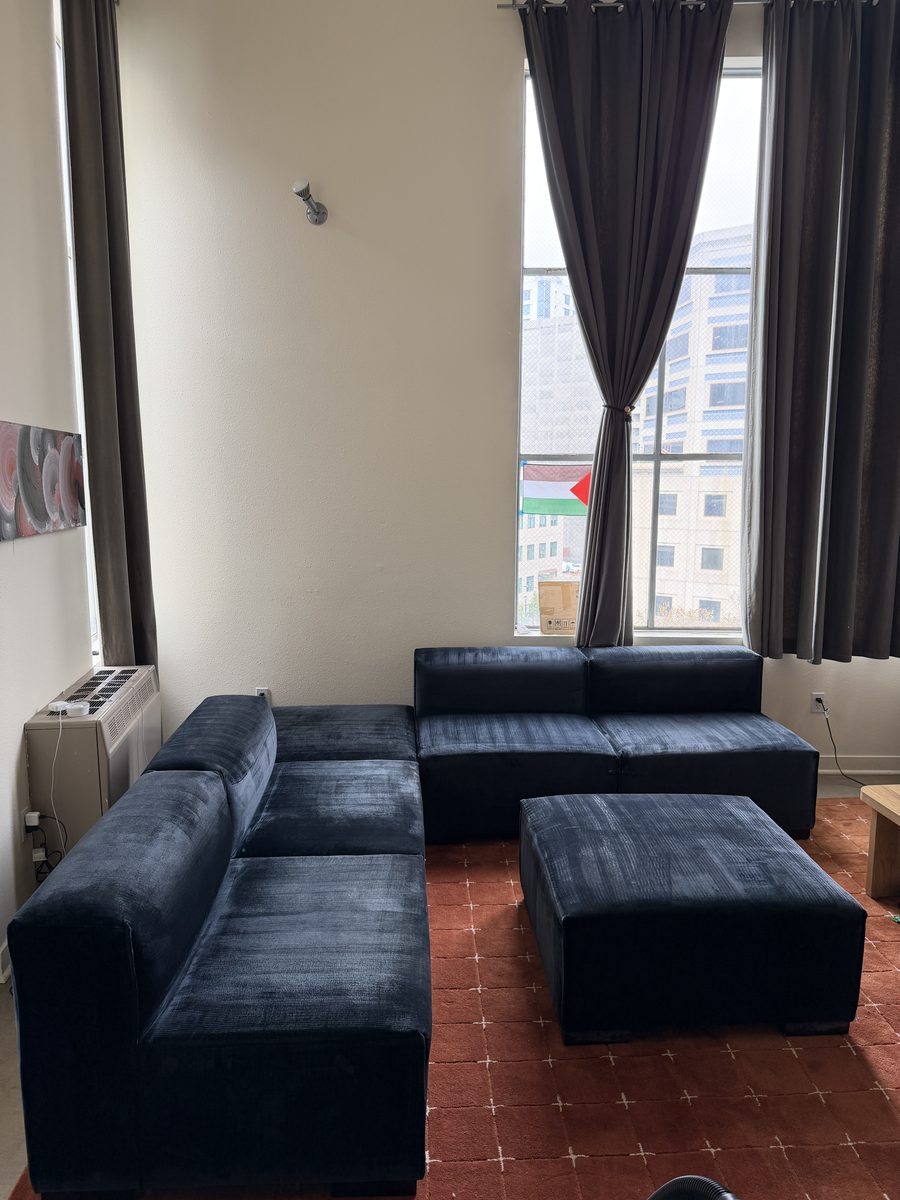 After: blue velvet sectional with the pile lifted and color restored