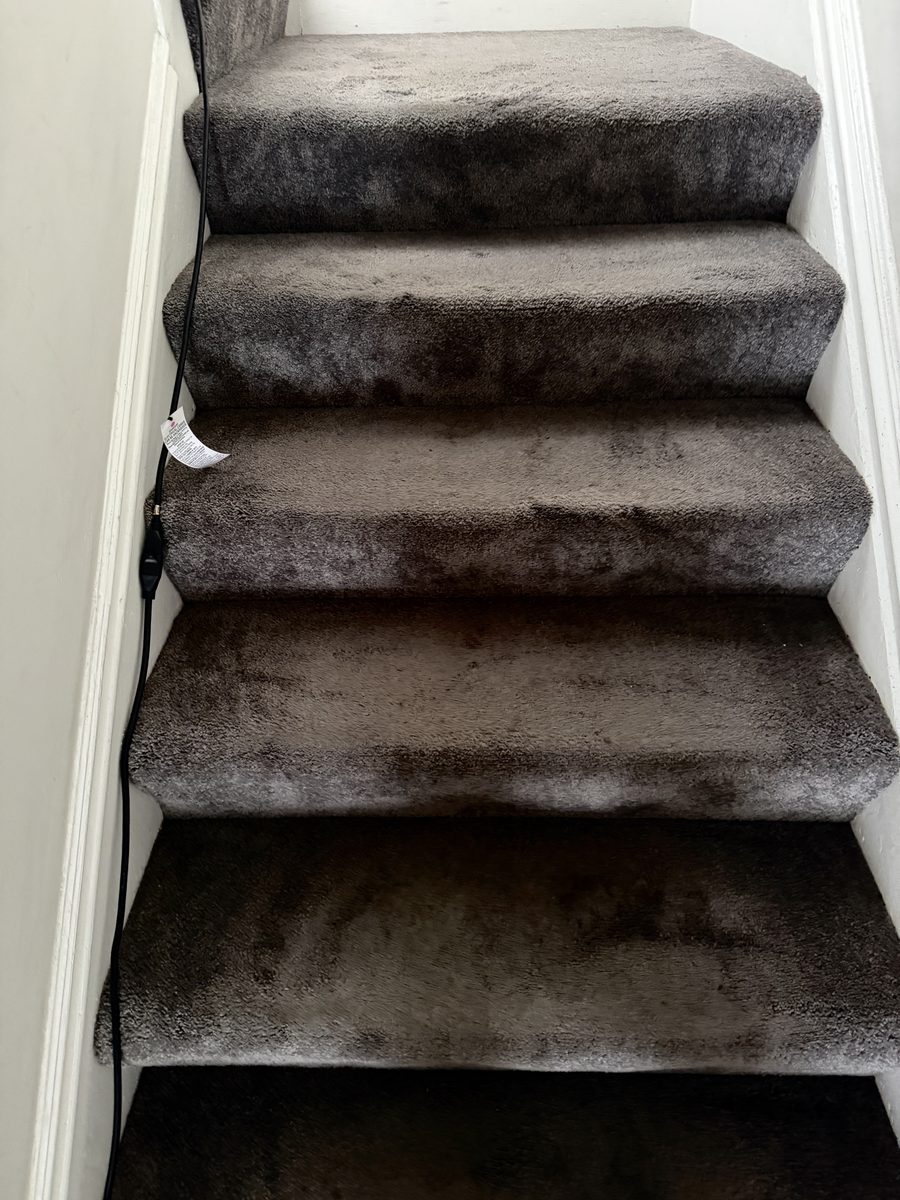 Before: carpeted stairs with dark high-traffic lanes