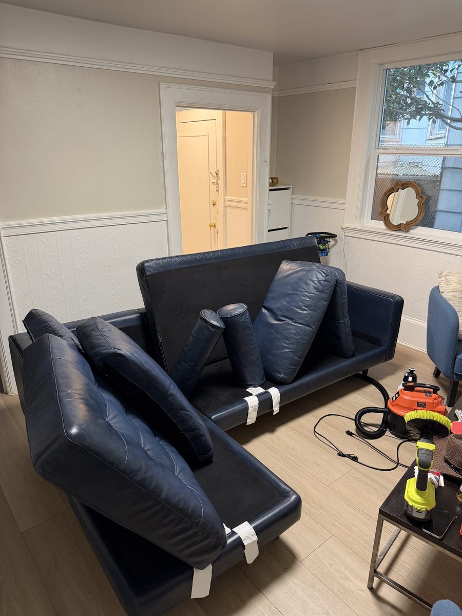 After: navy leather sofa with pet hair removed and deep cleaned