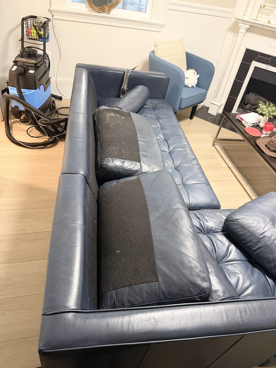 Before: navy leather sofa covered in pet hair